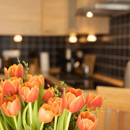 Heide-2 By Interhome Vakantiehuis